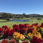 Profile Picture of Jeff Johanson (@jeffjjohanson) on Instagram