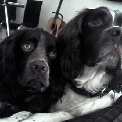 Profile Picture of Nicholas Wren (@raffybha) on Twitter