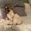 Profile Picture of shaunhulbert_83 (@bmclife) on Tiktok