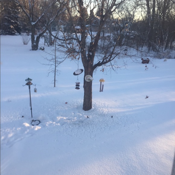 Profile Picture of Scot Gilfus (@diarages44) on Poshmark