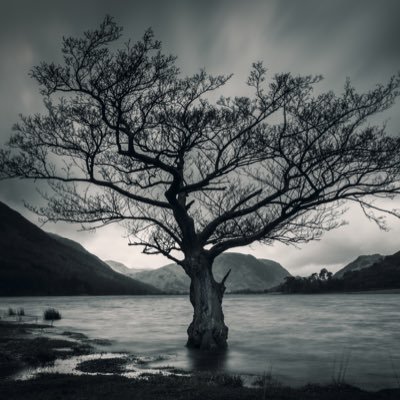 Profile Picture of Andrew Pieri (@pieri_andrew) on Twitter