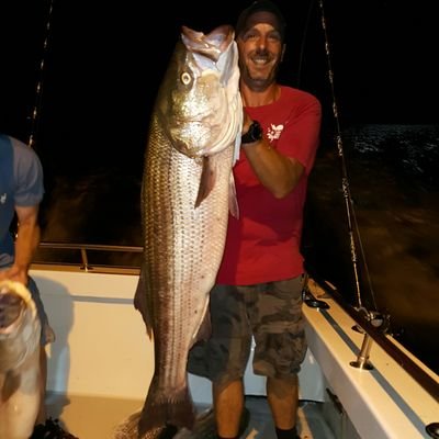 Profile Picture of Joe Cristallo (@Myfriendjoev) on Twitter