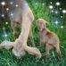 Profile Picture of Lindee Sue Brown Larsen (@lindee.s.larsen) on Facebook