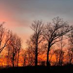 Profile Picture of Stacy Heinze (@stacyheinze) on Instagram