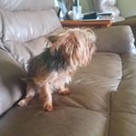 Profile Picture of Allison Demoski (@allisondemoski) on Instagram