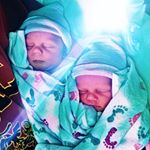 Profile Picture of David Belling (@bellingdavid) on Instagram