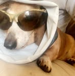 Profile Picture of Deric Funderburk (@deric.funderburk) on Facebook