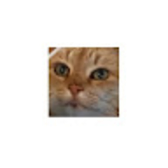 Profile Picture of Camela Manheimer (@camelamanheimer) on Poshmark