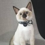 Profile Picture of Richard Parker (@richard_gathn) on Instagram