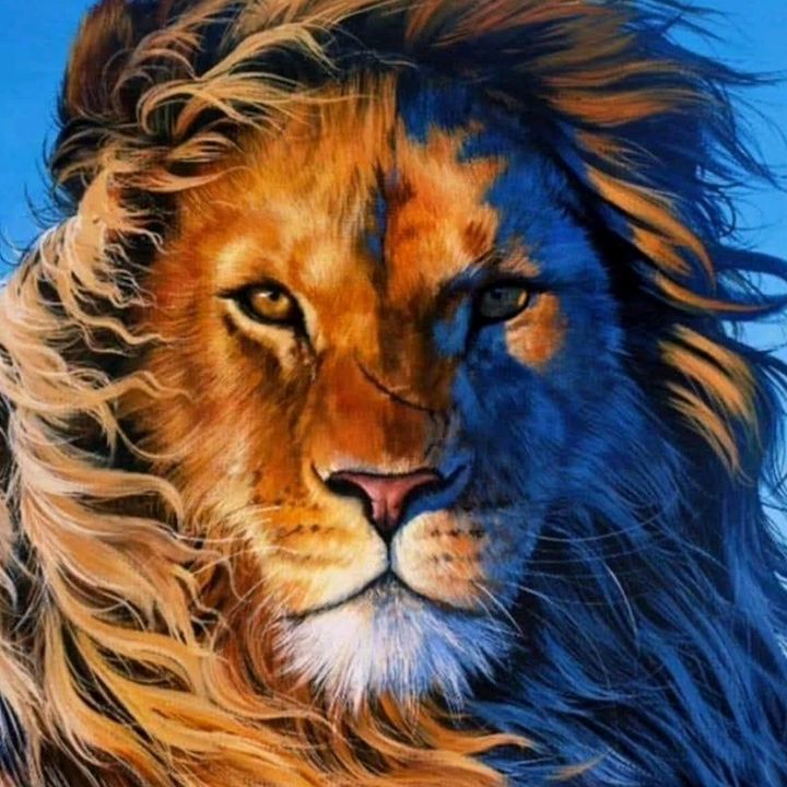 Profile Picture of Keith (@thereelpatriot) on Tiktok