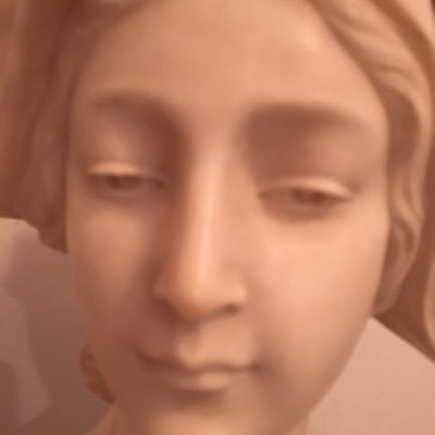 Profile Picture of Brooke Radding (@brooke_radding) on Twitter