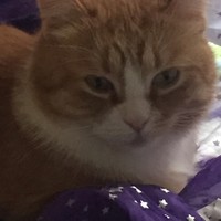 Profile Picture of Shayna Gonzalez (@shayna-gonzalez-8) on Quora