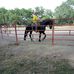 Profile Picture of Abraham Tinoco (@abraham.tinoco.585) on Facebook
