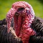 Profile Picture of 1 follower (@54zdmzj) on Instagram