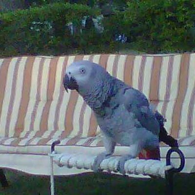 Profile Picture of Dave Wertz (@dwertziii) on Twitter