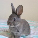 Profile Picture of Julien Jürgens (@j.juergens93) on Instagram