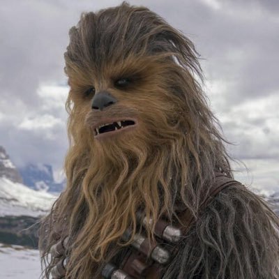 Profile Picture of Marc Wittig (@WittigMarc) on Twitter