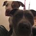 Profile Picture of Darreth Fields (@almondeyez702) on Pinterest