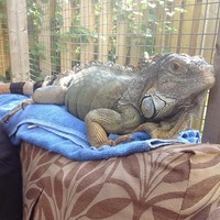 Profile Picture of Greg Frazer (@greg-frazer) on Quora