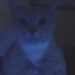 Profile Picture of David Kreidler (@73david73) on Pinterest