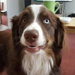 Profile Picture of Mark Hurlburt (@mark_shark60) on Instagram