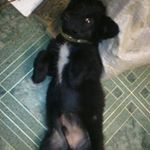 Profile Picture of Олександр (@sanya.zamana) on Instagram