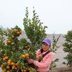 Profile Picture of Clise Crispin Tapara (@clise.crispintapara.5) on Facebook