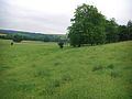Profile Picture of Lyncheton Wikipedia