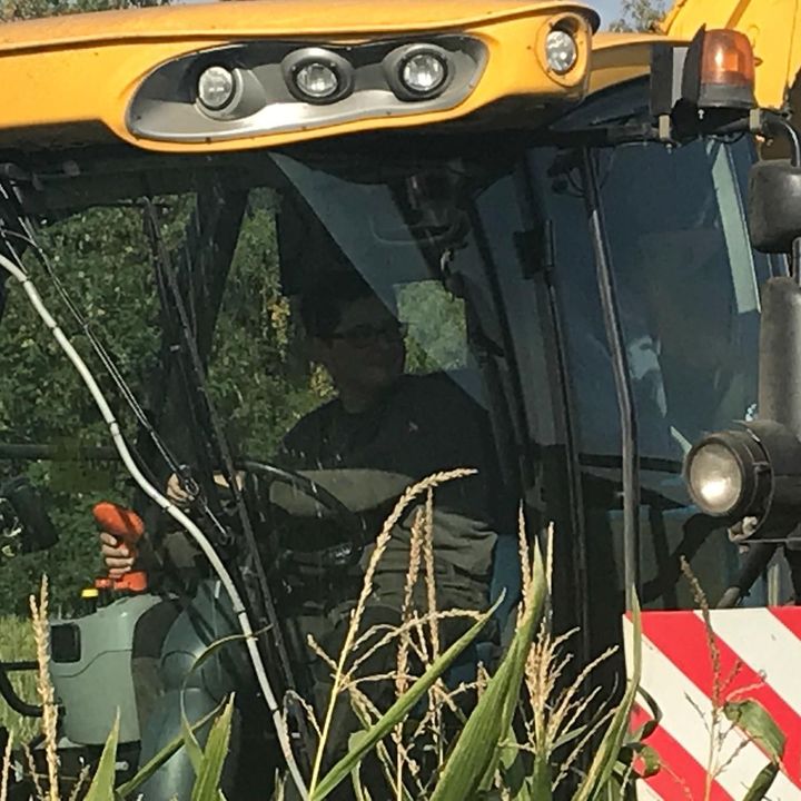 Profile Picture of Lars Hammann (@@larshammann) on Tiktok