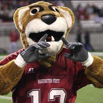 Profile Picture of Matt (@MattOberst) on Twitter