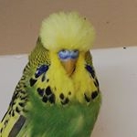 Profile Picture of Franz Penner (@franzpenner58) on Instagram