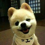 Jack Bilemdjian - Instagram Profile Picture of Jack Bilemdjian (@jackbilemjian) on Instagram