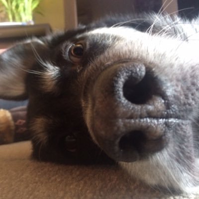 Profile Picture of Keith Angell (@kwangell) on Twitter