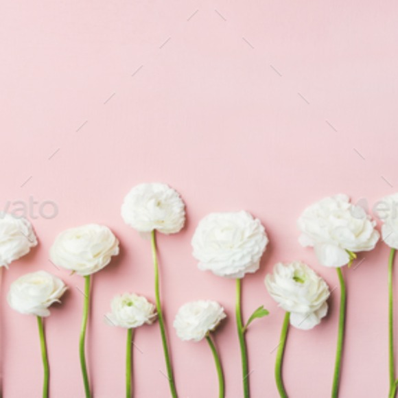 Profile Picture of Sydney Milovich (@srmilo) on Poshmark