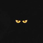 Profile Picture of Walter Groves (@fastfreddy779) on Instagram
