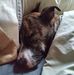 Profile Picture of Harold Maness (@harold.maness.374) on Facebook