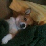 Profile Picture of Donna Riggs-thomas (@dl8on) on Instagram