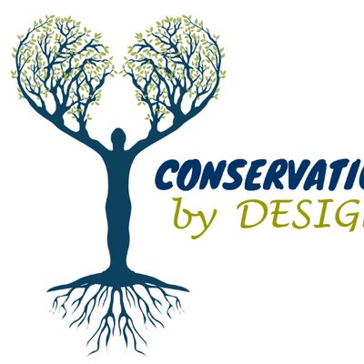 Profile Picture of Tom Roche (Just Forests) (@Justforests) on Twitter