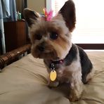 Profile Picture of Robin Boice (@Robin-Boice) on Facebook