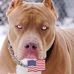 Profile Picture of James Peckinpaugh (@james.peckinpaugh.520) on Facebook