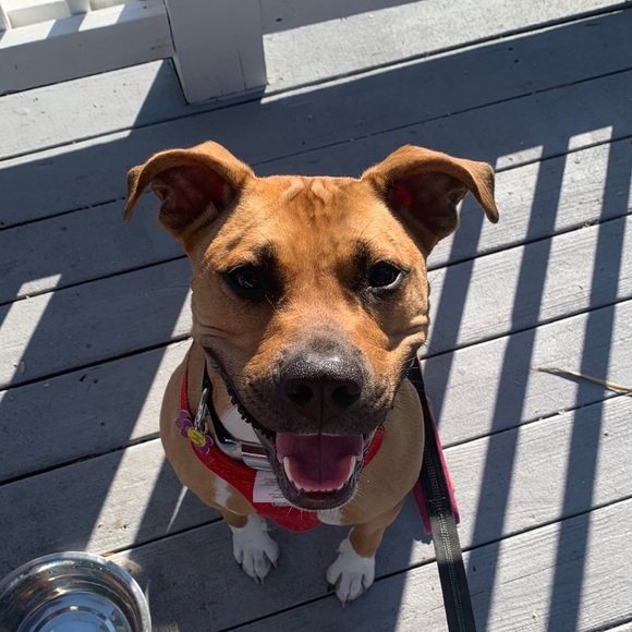 Profile Picture of Andrew Struebing (@andrewstruebing) on Poshmark