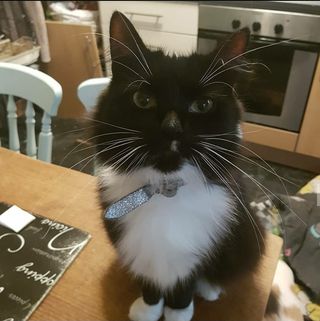 Profile Picture of Aaron Coppini (@aaron.coppini) on Facebook