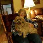 Profile Picture of Nancy Powell (@nancy.jayne) on Instagram