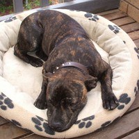 Profile Picture of Adam Glynn (@adam-glynn-14) on Quora