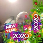 Profile Picture of Paul Allington (@paul.allington.18) on Facebook