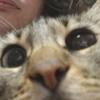 Profile Picture of Patric Blanco (@@patstark) on Tiktok