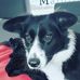 Profile Picture of Cameron Stout (@cameron.stout.9809) on Facebook