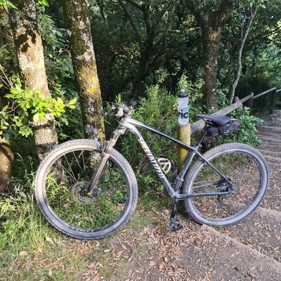 Profile Picture of Alex Caba Diez (@alexcaba90) on Twitter