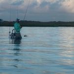 Profile Picture of Dennis Viveiros (@dennisviv) on Instagram