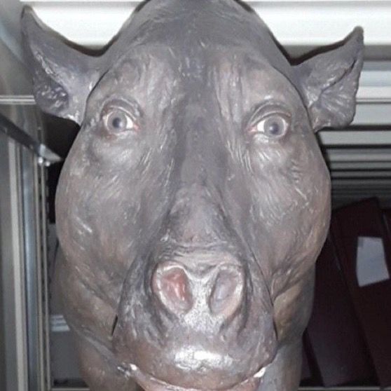 Profile Picture of Logan herbert (@222log222) on Tiktok